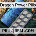 Dragon Power Pills 34